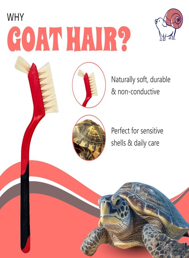 Snout and Shell Turtle Cleaning Brush - Gently Remove Dirt from Turtles and Tortoises - Red by Snout and Shell - Image 3